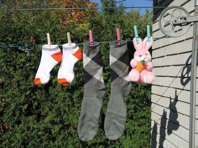 Install a clothline and save a bundle!