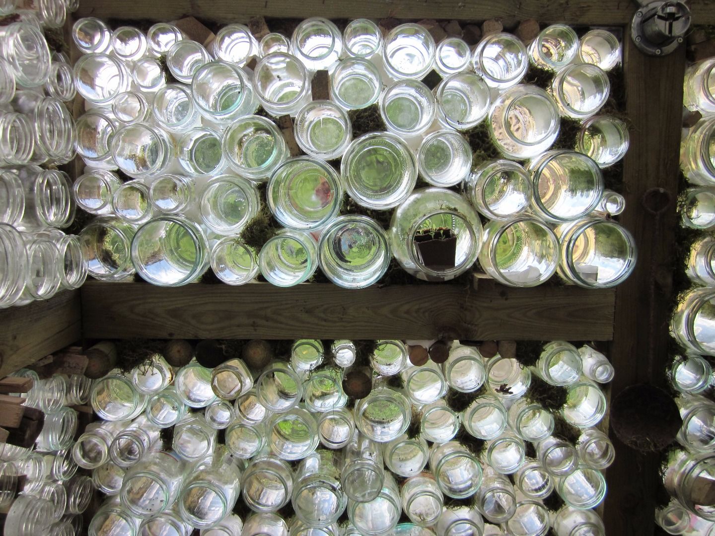 Glass Jar Greenhouse 5 Steps (with Pictures) Instructables