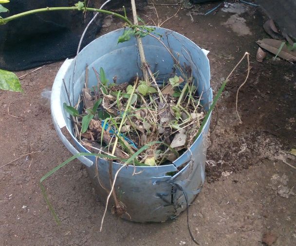 Broken Bucket to Pot