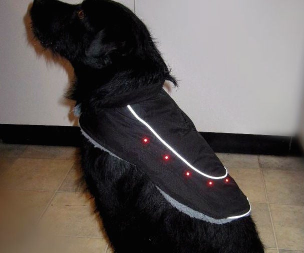 Kitronik Light Up Dog Coat 8 Steps (with Pictures) Instructables