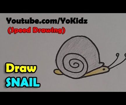 How to Draw Snail
