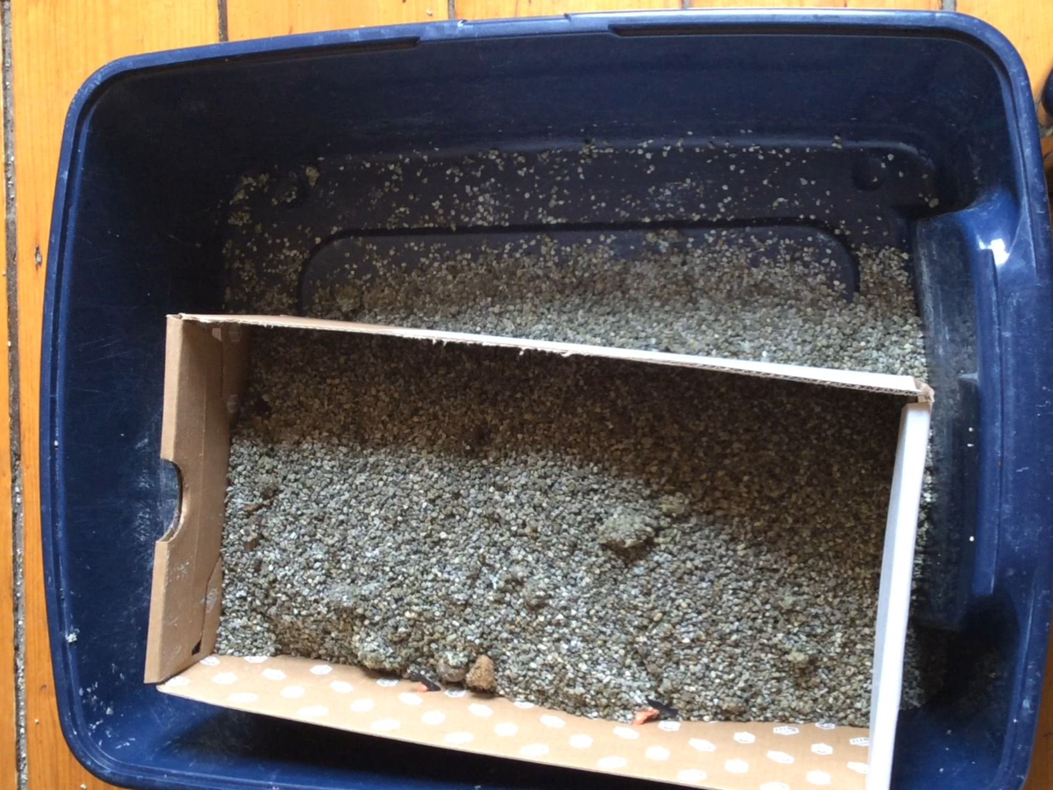 Rock Your Litter Box! a Litter Box Hack for the Rest of Us. 6 Steps