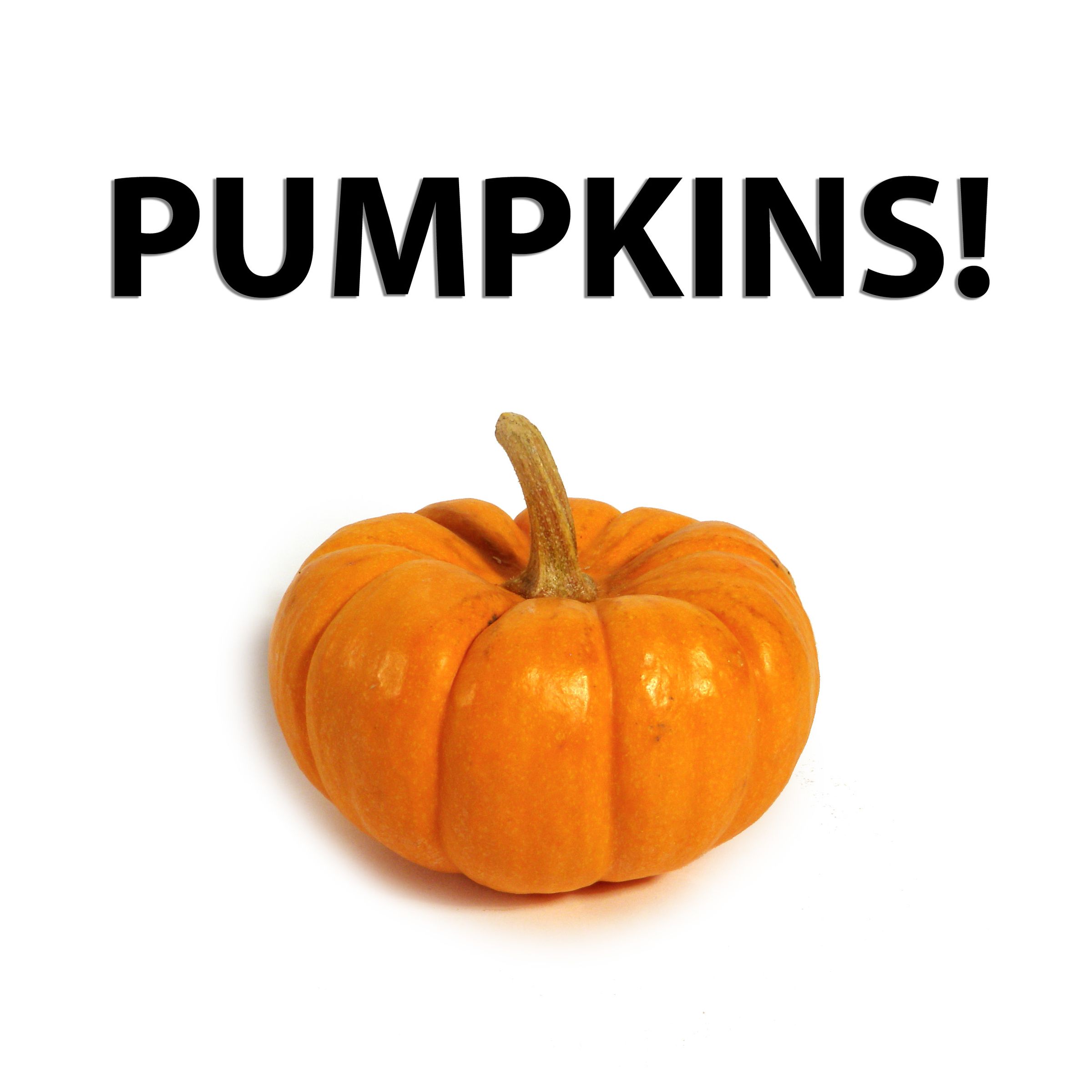 The Weekly Challenge: Pumpkins