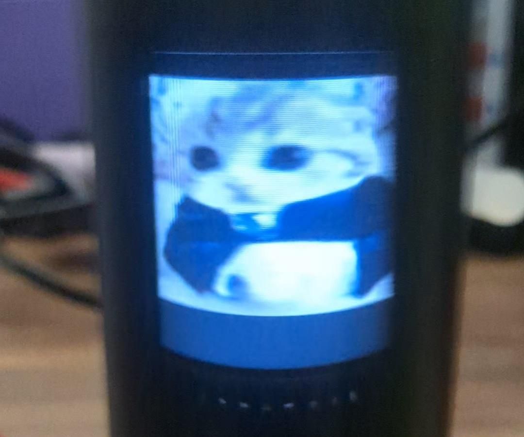 Omnidirectional Display / Digital Zoetrope