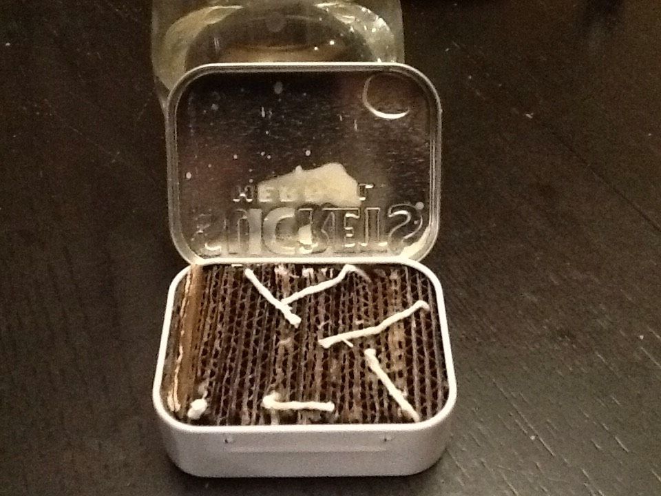 Emergency Fire Tin