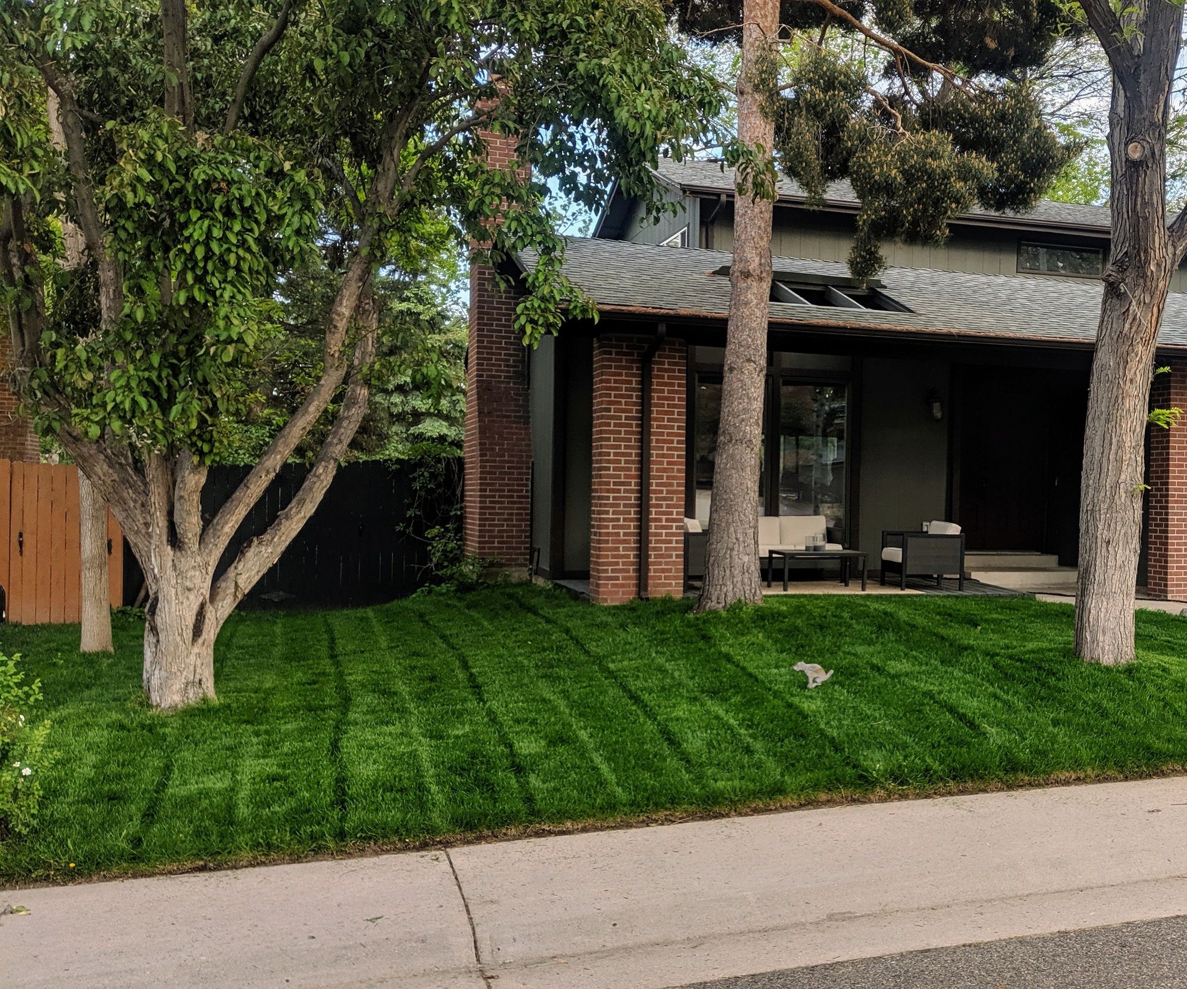 $1.50 DIY Behind Mower Lawn Striper