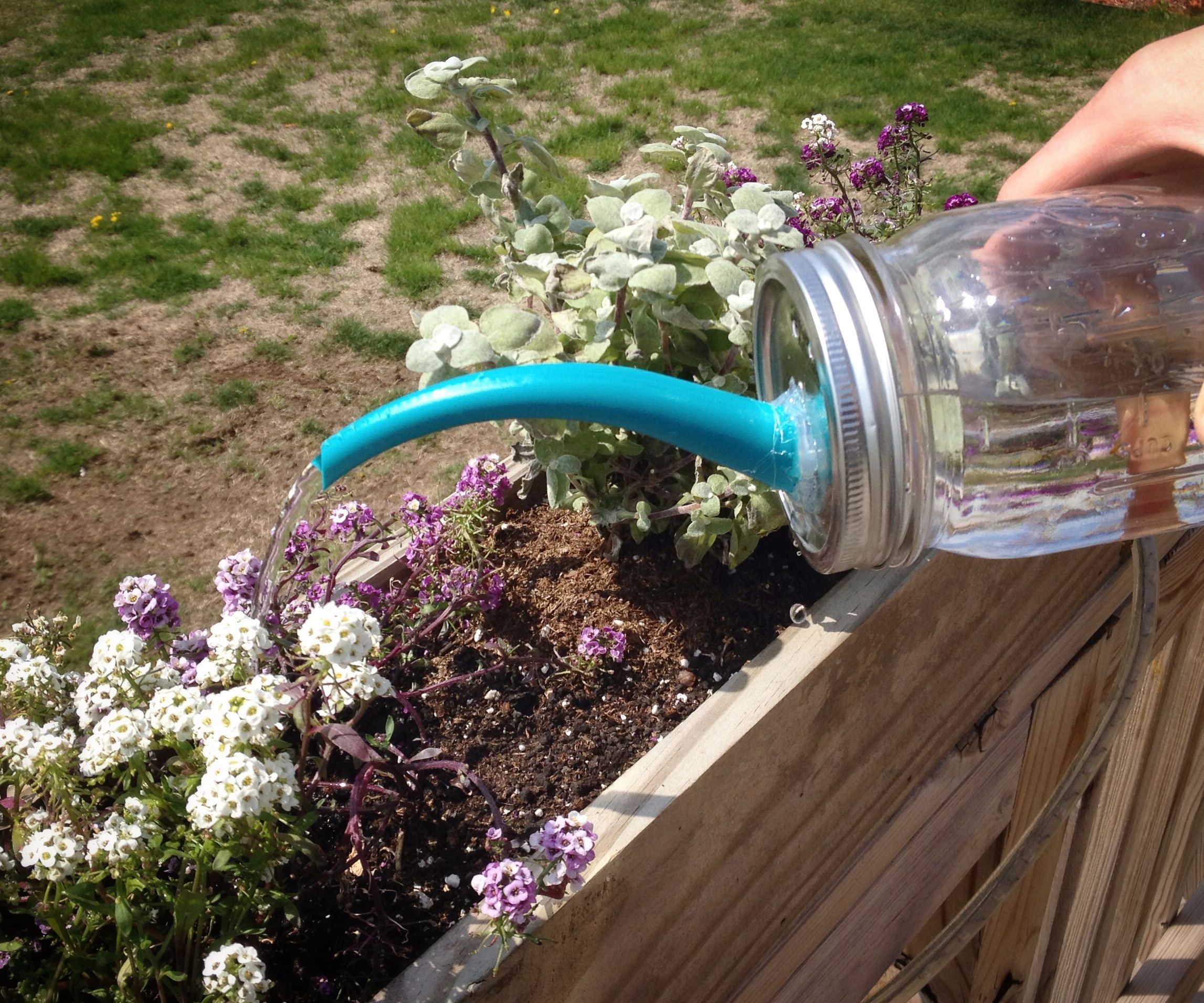 Mason Jar Watering