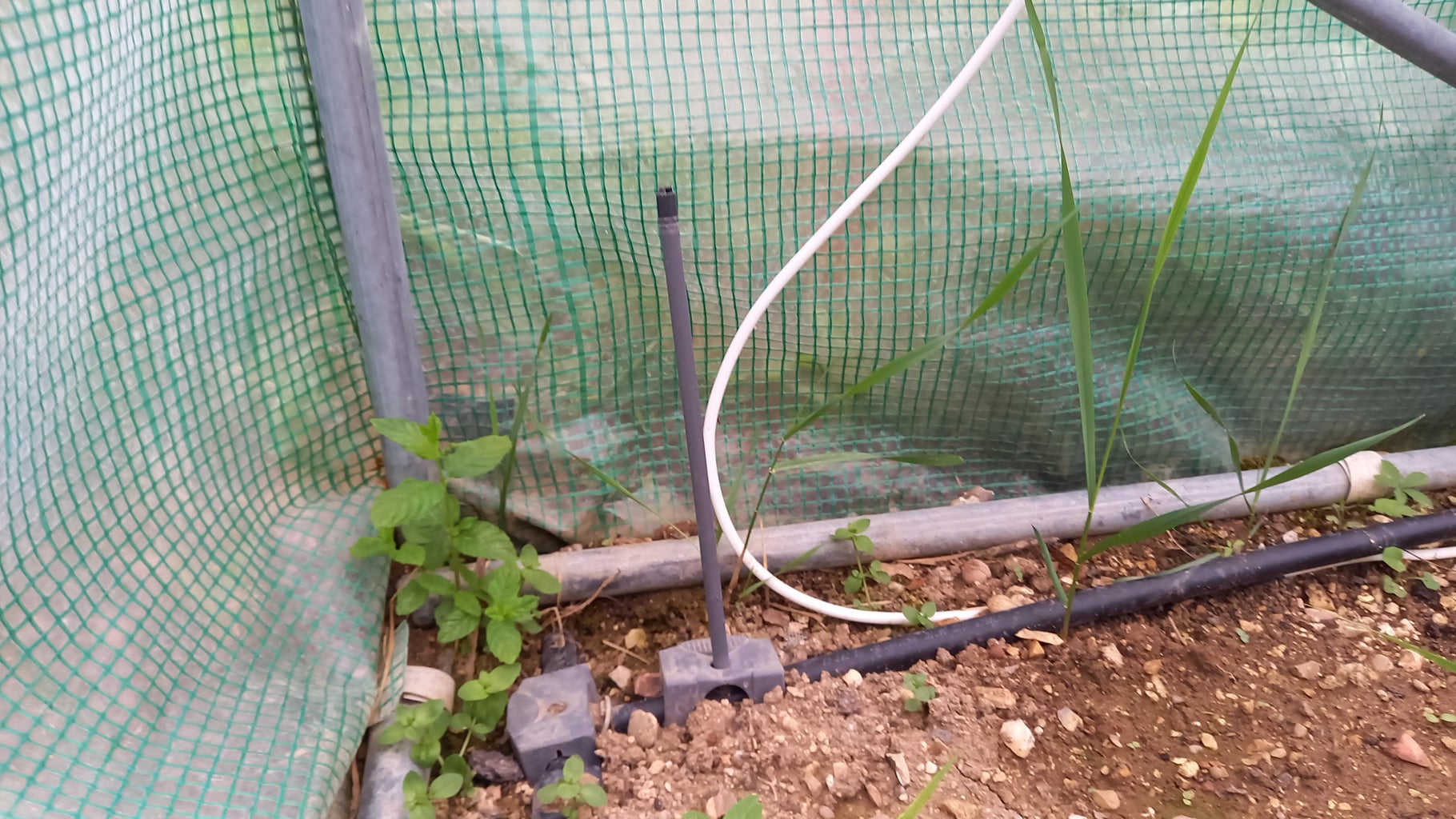 Connected Automatic Garden Watering System : 8 Steps (with Pictures ...