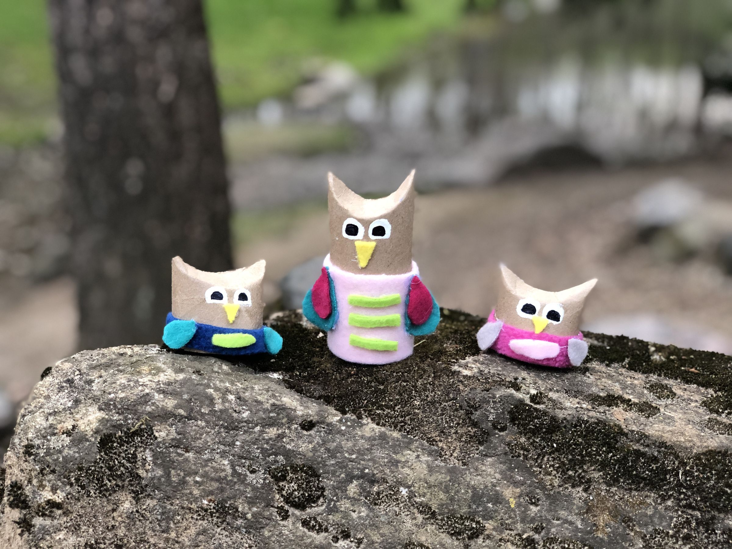 Recycled Cardboard Tube Owls 9 Steps (with Pictures) Instructables