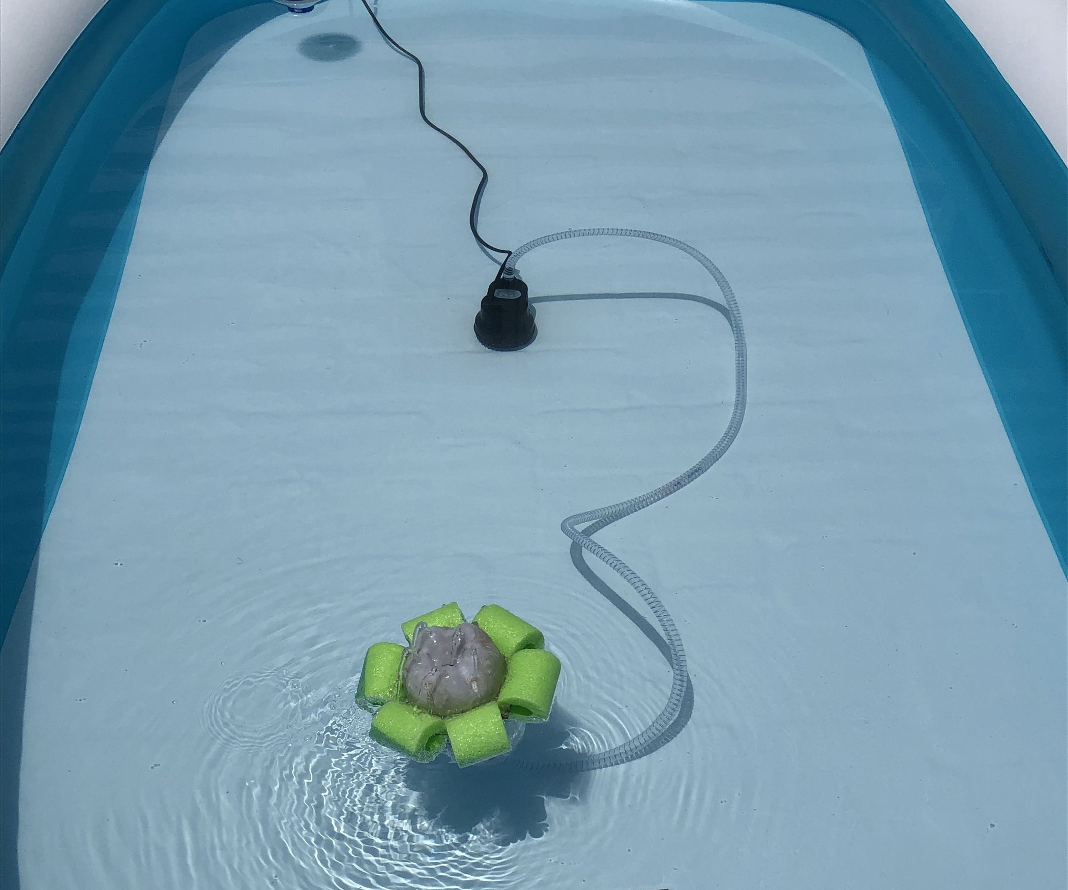 Cheap Pool Pump and Filter (10ft X 6ft Pools) 11 Steps (with Pictures