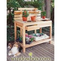 Raised Bed Garden for Your Seedling