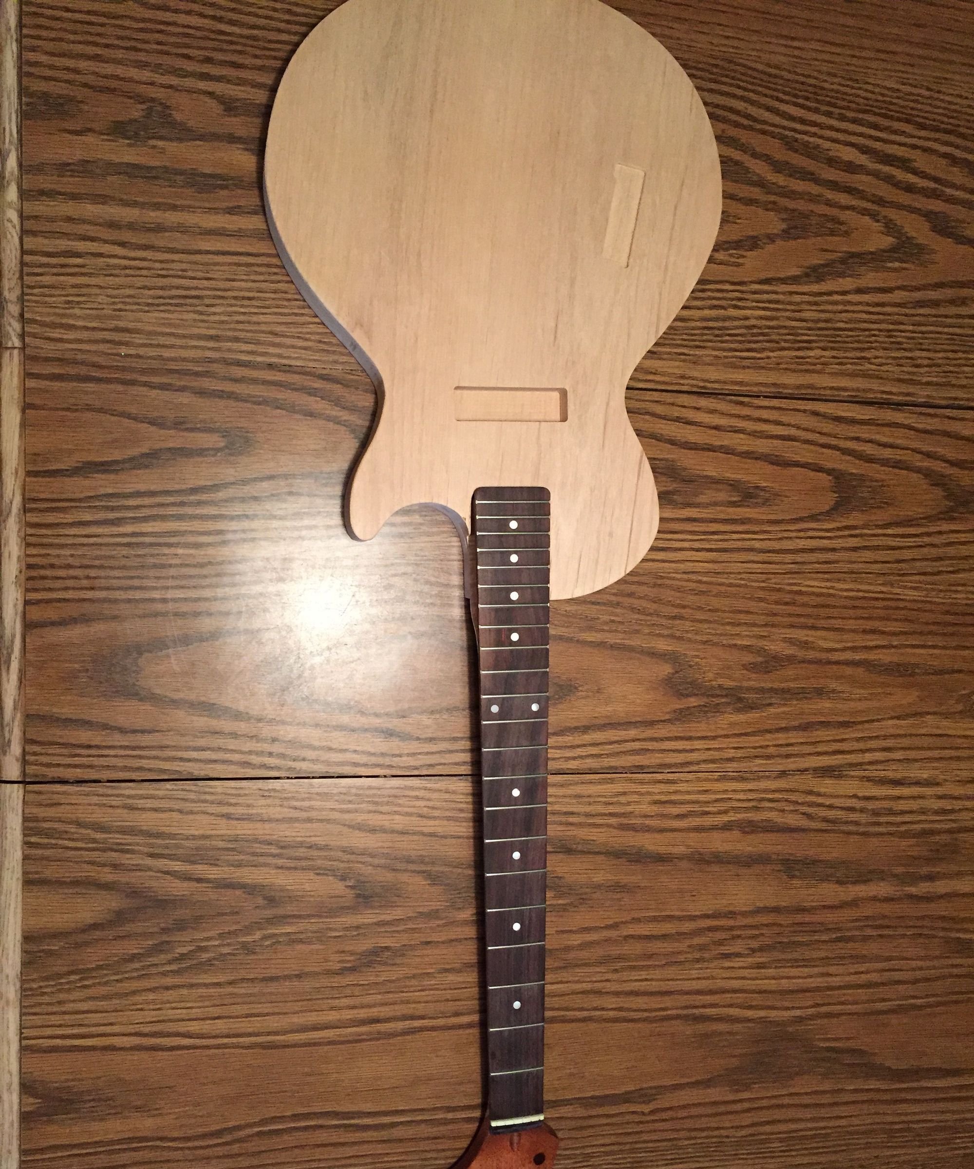 DIY Custom Guitar