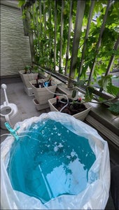 Place the Water Tank and Install Hoses.