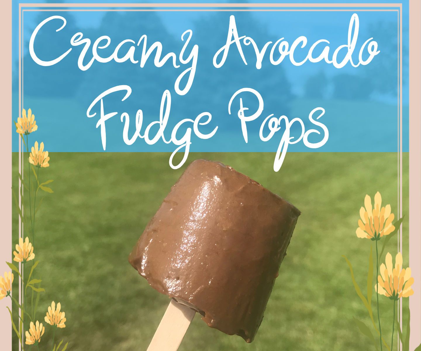 Creamy Avocado Fudge Pops