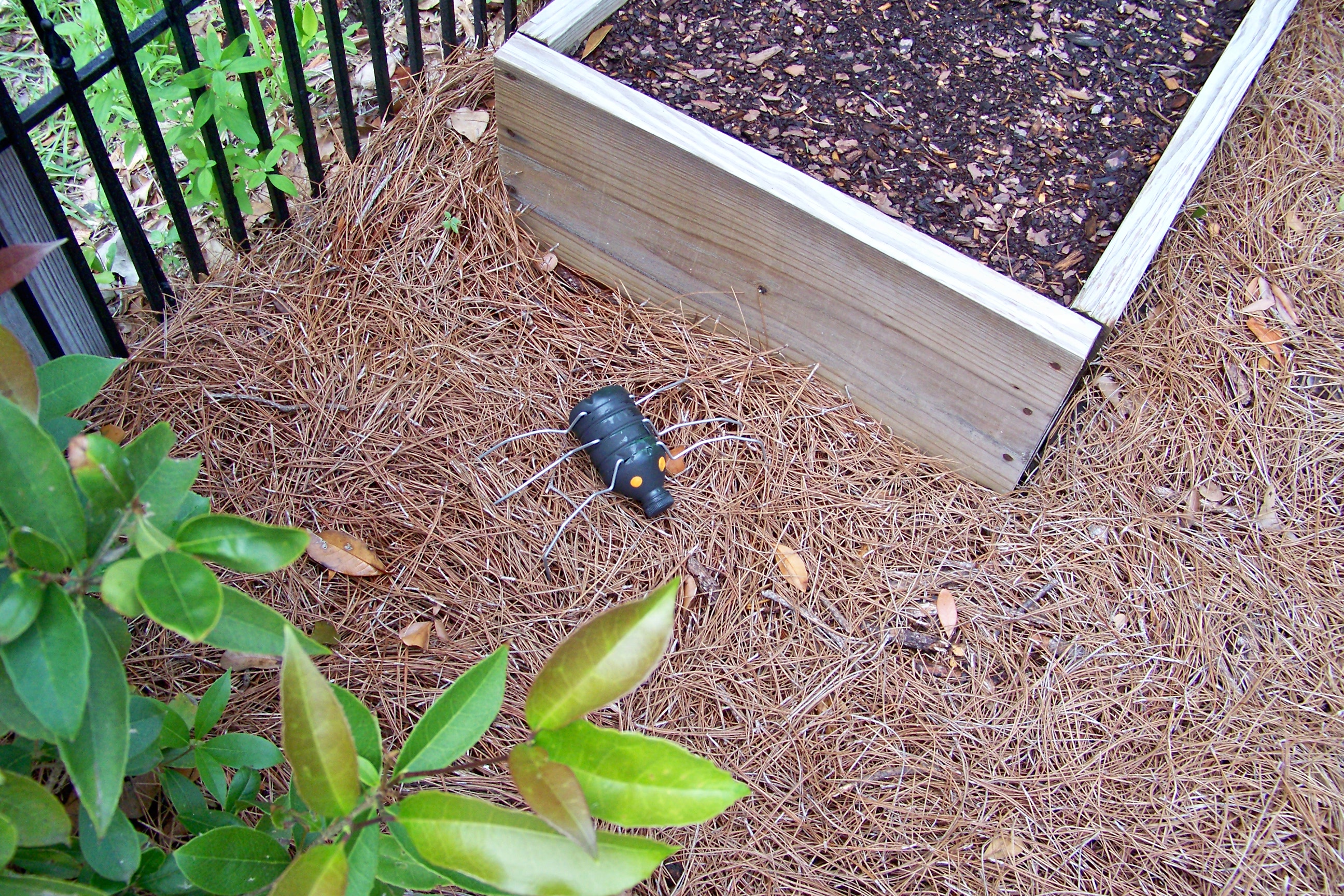 How to Make a Creepy Looking Bug