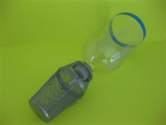 Roaring Cricket Megaphone Apparatus