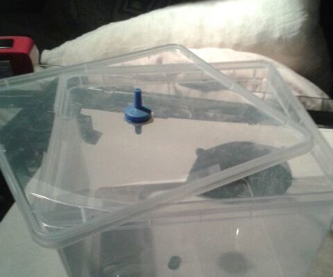 DIY Vacuum Room for Small Resin Castings