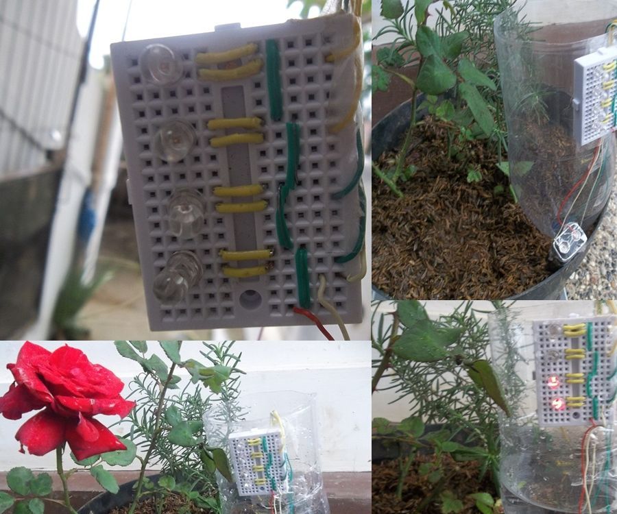Small & Useful Water Level Indicator|Low Water Planting