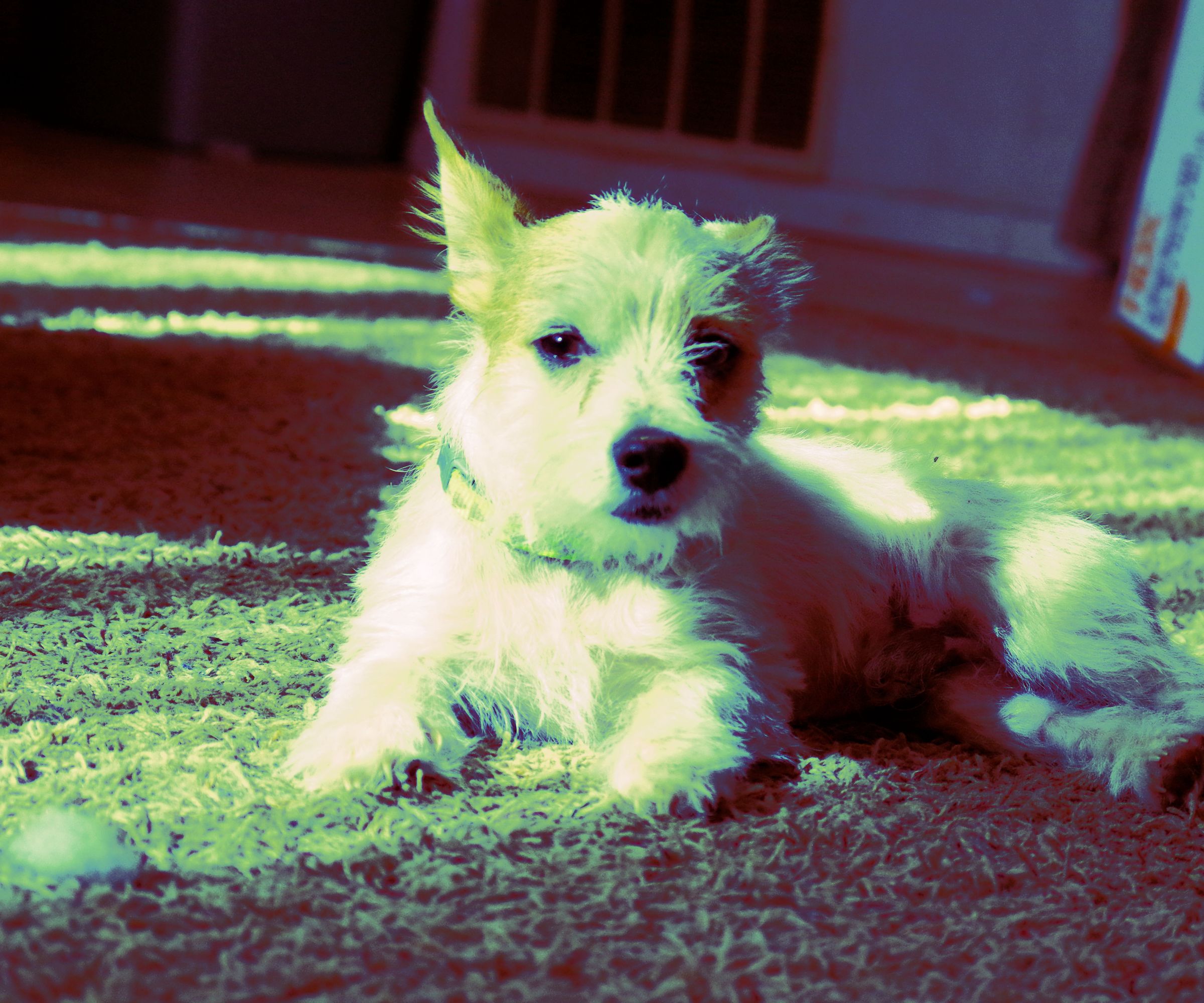 Cross Processed Photos Using a Rainbow.