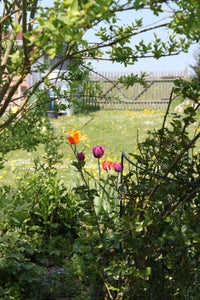 Garden Sculpture With Mosaic