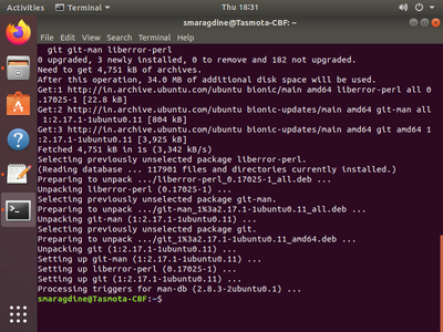 Installation of Esptool, Access GIT Repo, and Test Build.