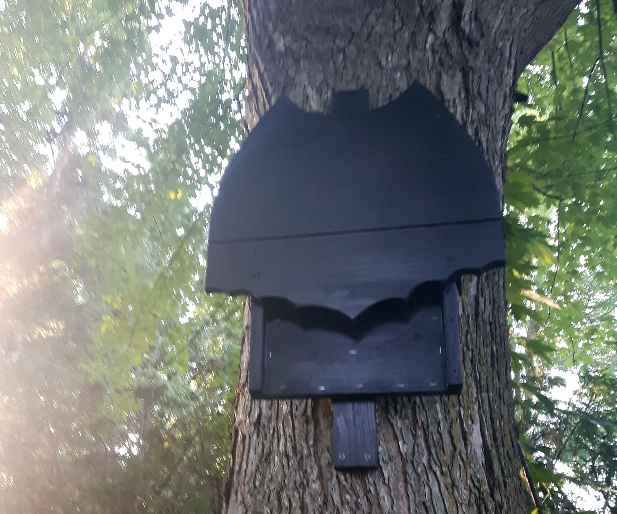 Batman Logo Bat Box House