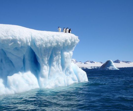Quickly Chill a Canned Beverage (with SCIENCE)
