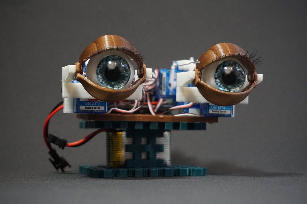 Animatronic Eyes With Remote Control 5 Steps