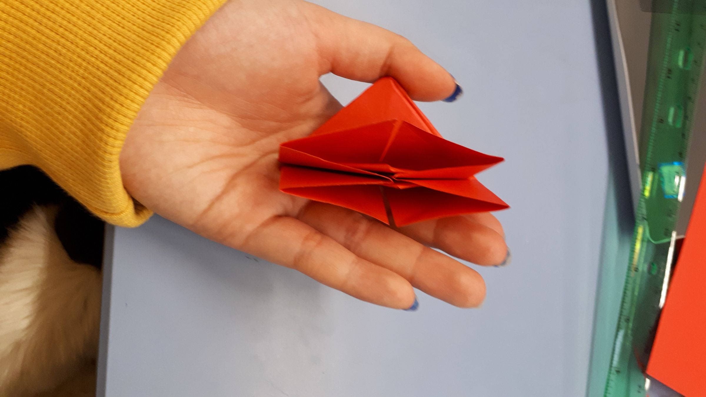 Step 7: Fold the Triangle Down