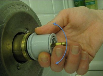 Remove the Old Cartridge.
