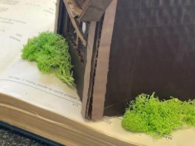 Picnic Table and Grass