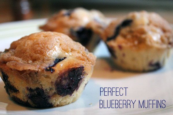 perfect blueberry muffins