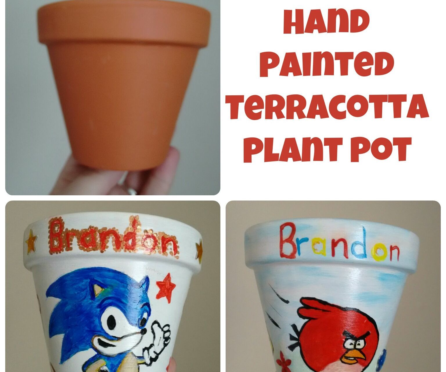 Hand Painted Terracotta Plant Pot