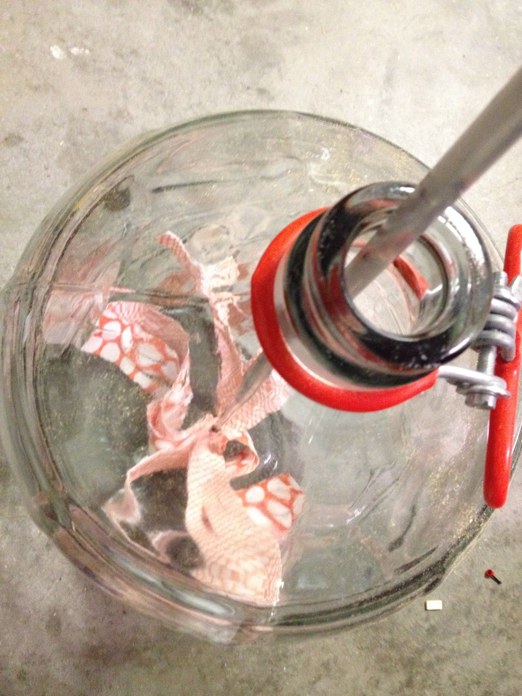 Carboy Cleaner 4 Steps Instructables