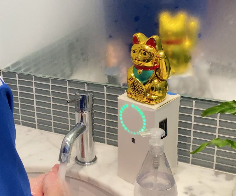 Paws to Wash - Cat Meets Covid Handwashing Project