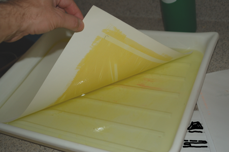 Tri-color Gum Bichromate Prints From Digital Images : 13 Steps (with ...