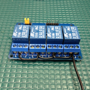 Relay Race to the Finish!