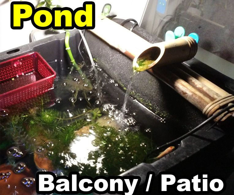 Container Patio Balcony Pond 11 Steps (with Pictures) Instructables