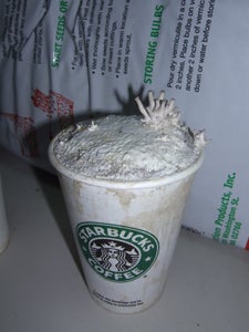 Fruiting Your Cups