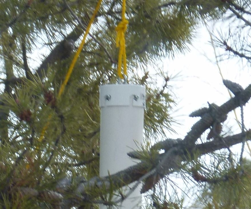 Squirrel Proof Bird Feeder