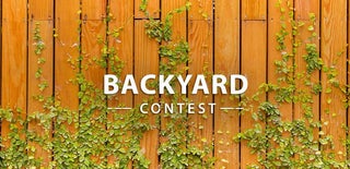 Backyard Contest