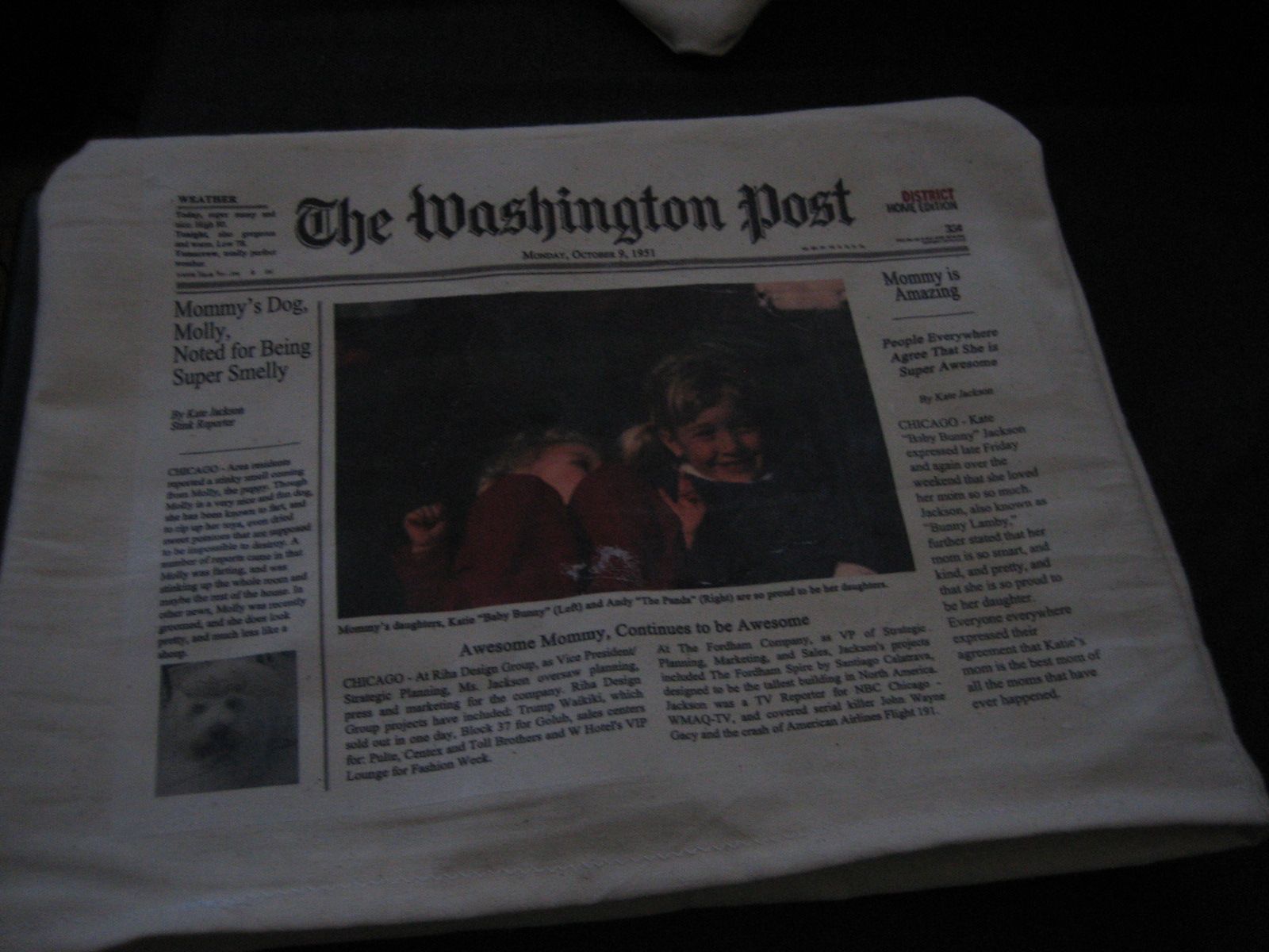 Super Special Laptop Sleeve (**With Updates**)