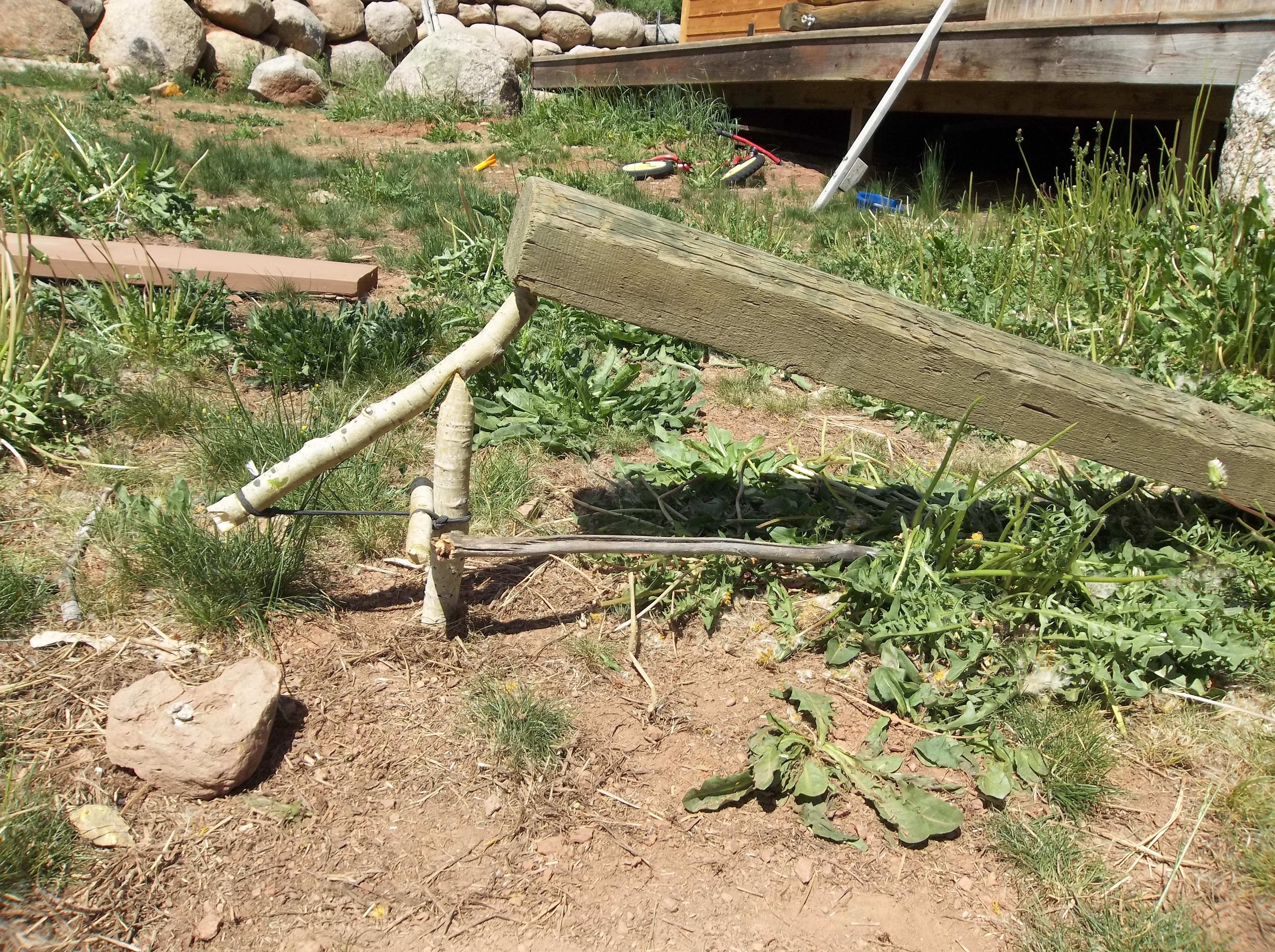 Paiute Deadfall Trap