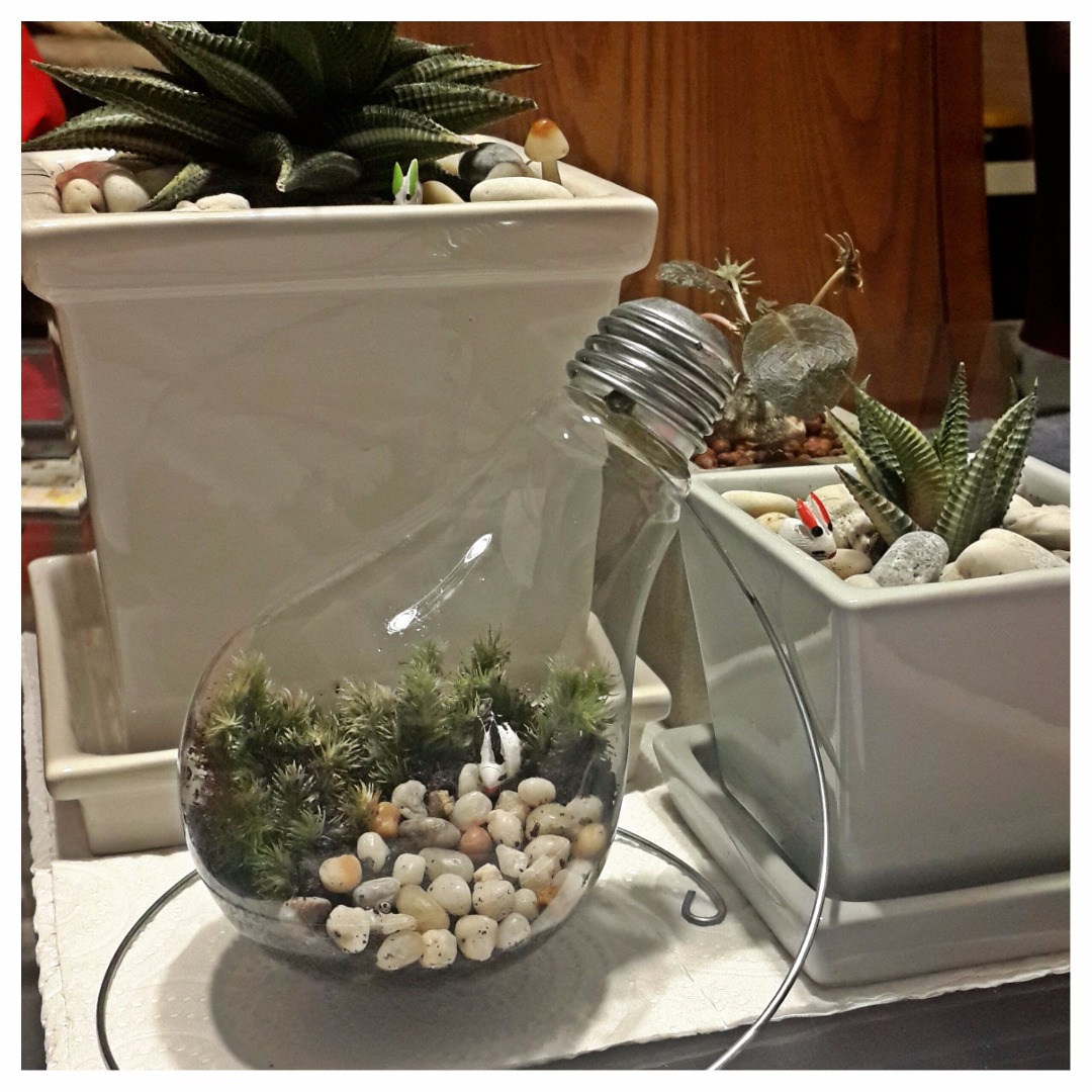 A Terrarium in a Light Bulb 4 Steps Instructables