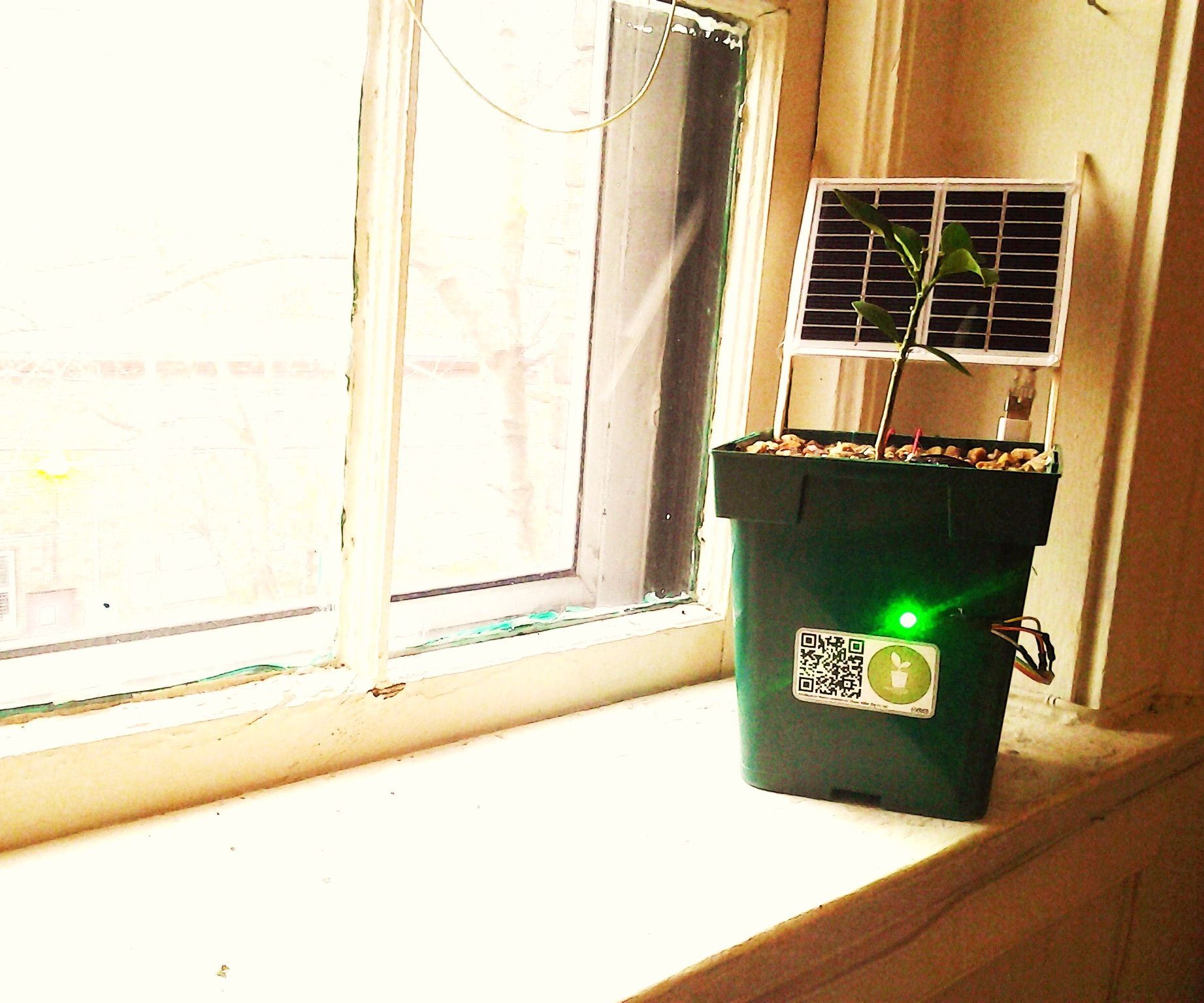 Solar Powered Plants