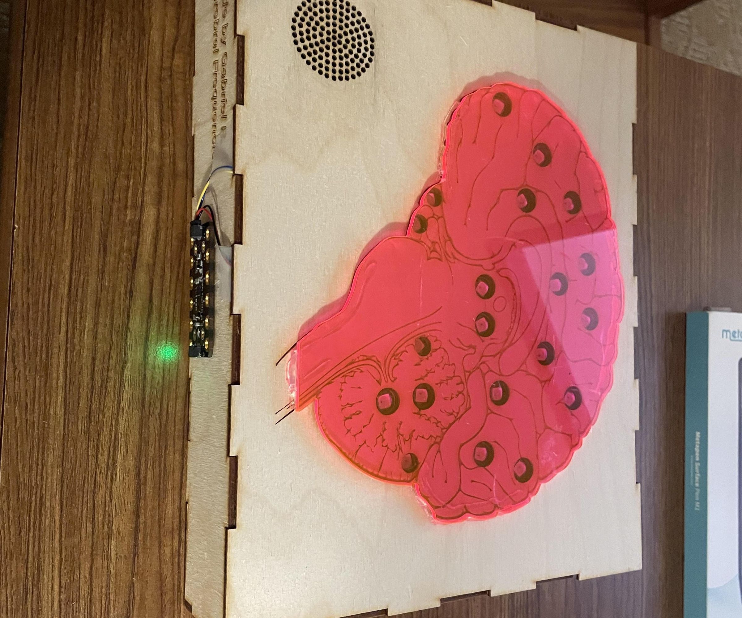Cerebral Frequencies: Interactive LED Light BOX