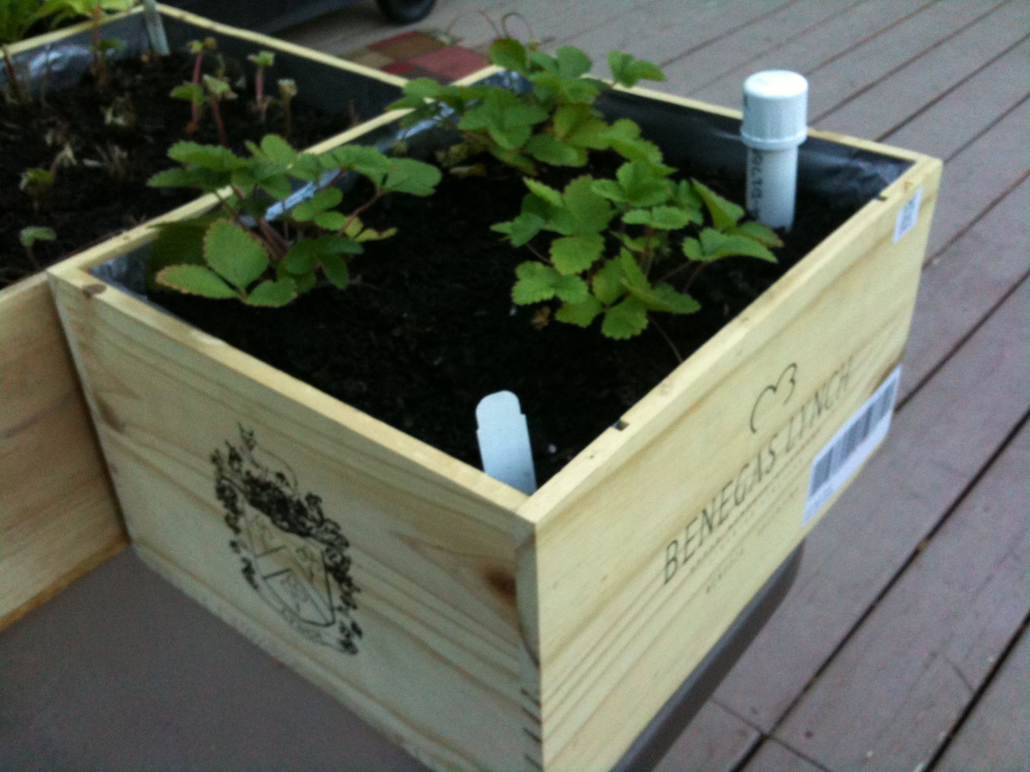 Wine Box Wicking Planter Boxes