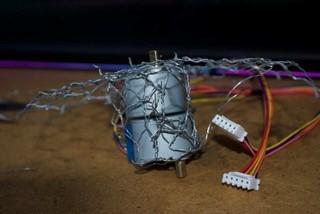 Construction of the Birds Body