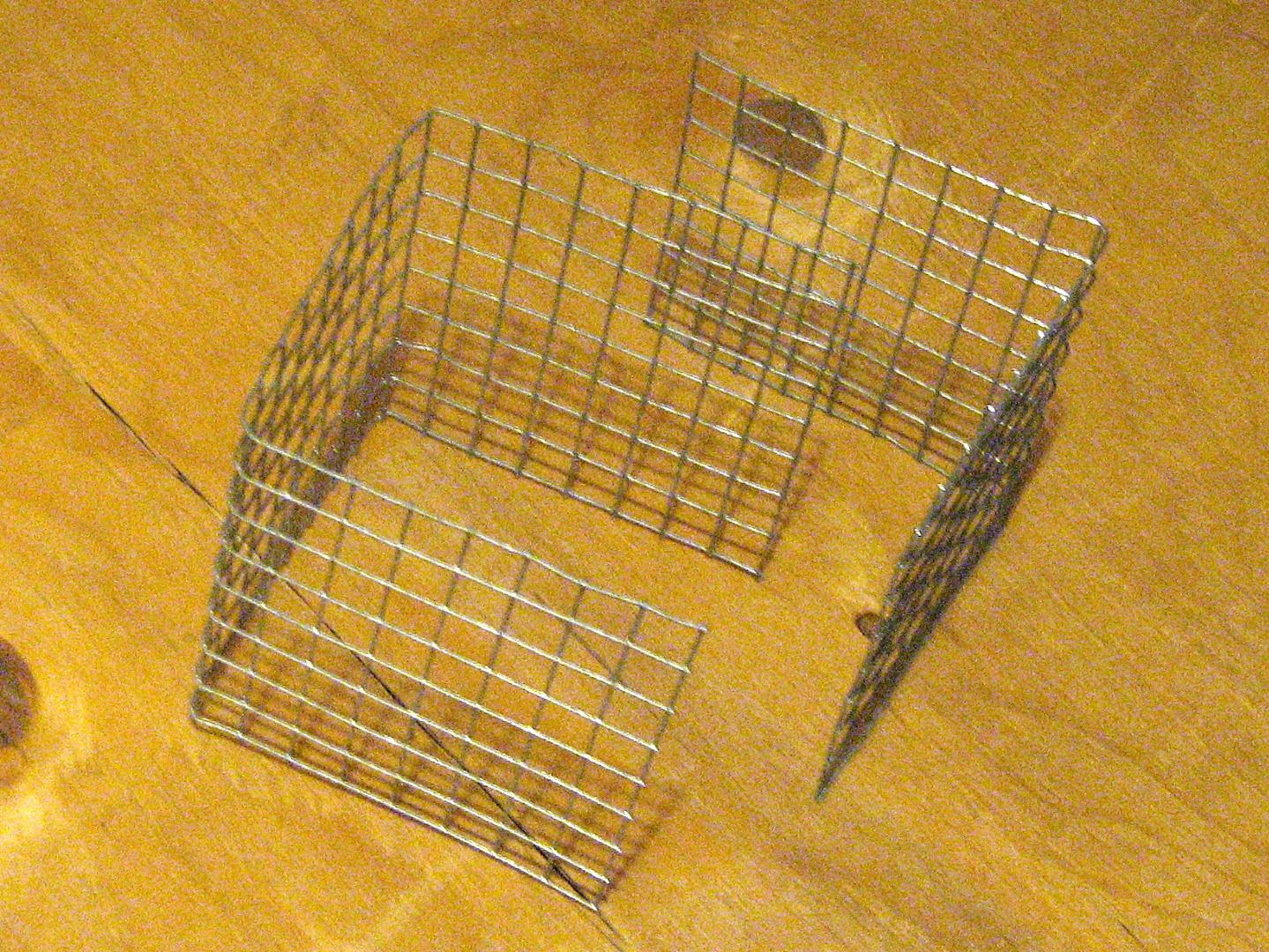 Homemade Suet Feeder 6 Steps Instructables