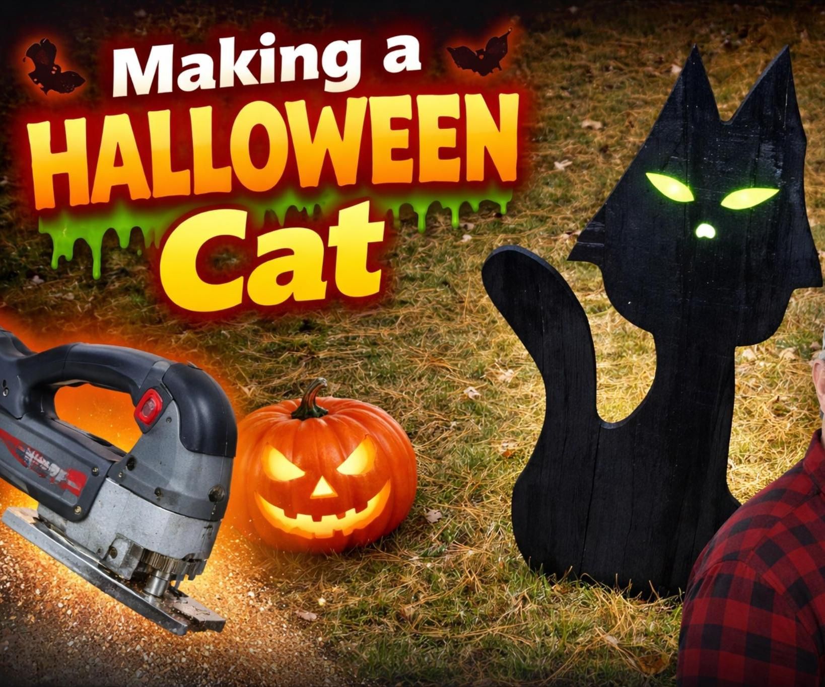 DIY Halloween Black Cat With Glowing Eyes